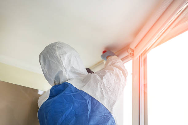 Why You Should Choose Our Mold Remediation Services in Centerville, CA