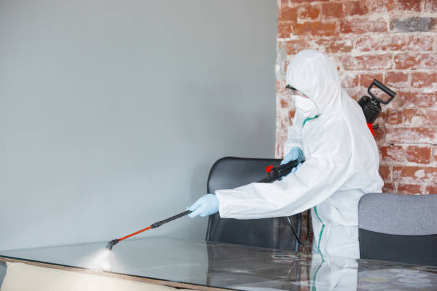 Biohazard Mold Removal in Centerville, CA